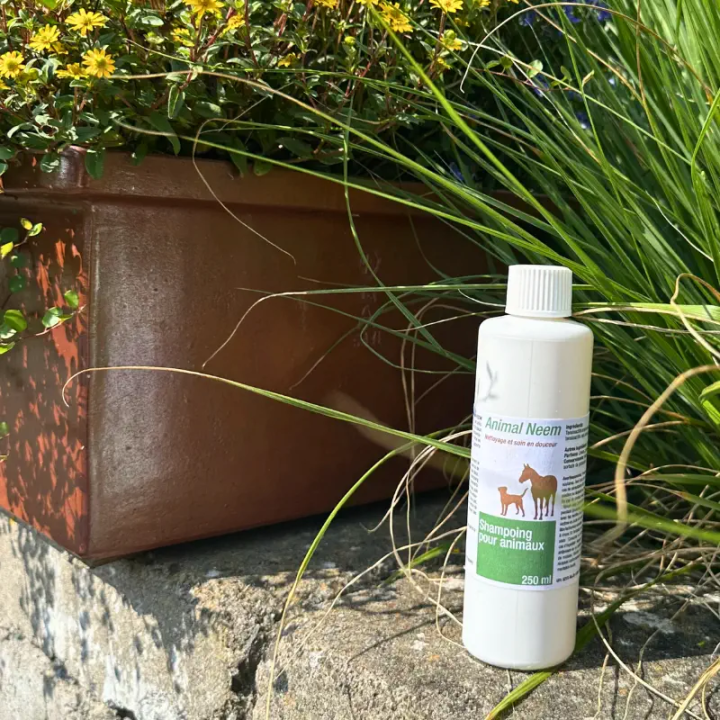 Shampoing hydratant et insectifuge chien et cheval - huile de Neem