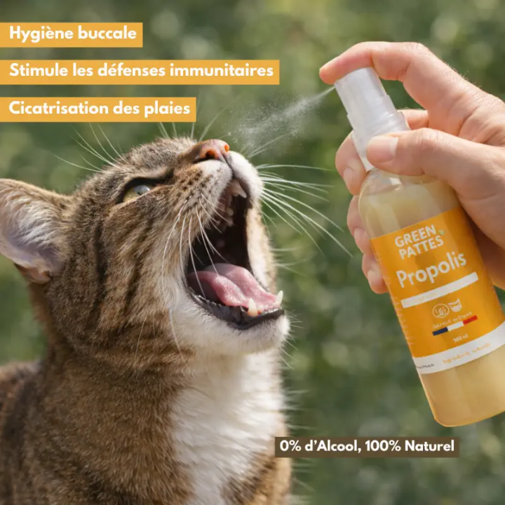 Spray Propolis pour chien et chat - Apaise et protège naturellement