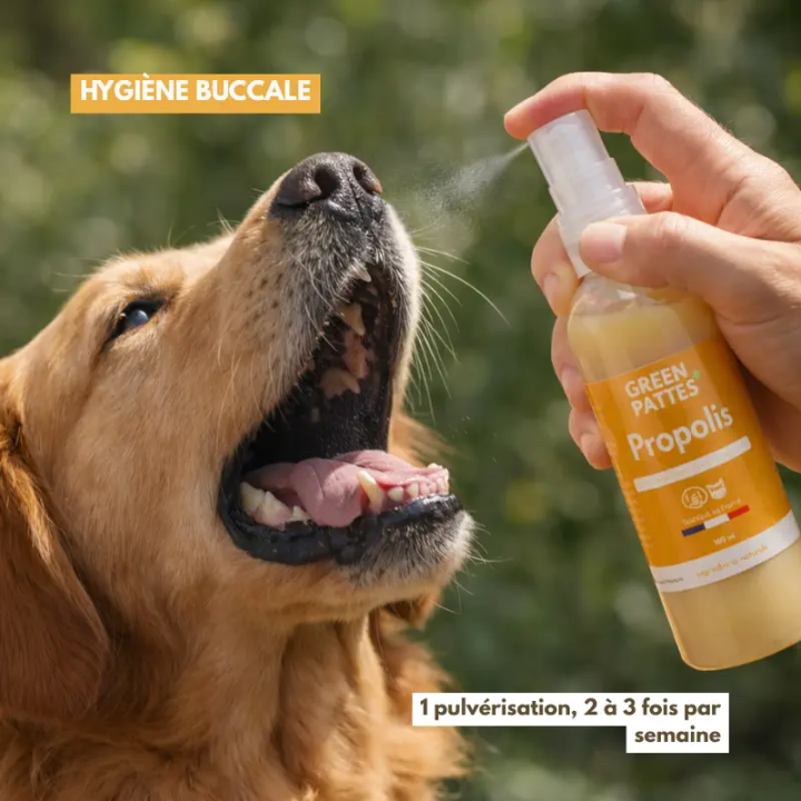 Spray Propolis pour chien et chat - Apaise et protège naturellement