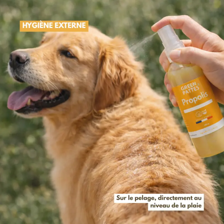 Spray Propolis pour chien et chat - Apaise et protège naturellement