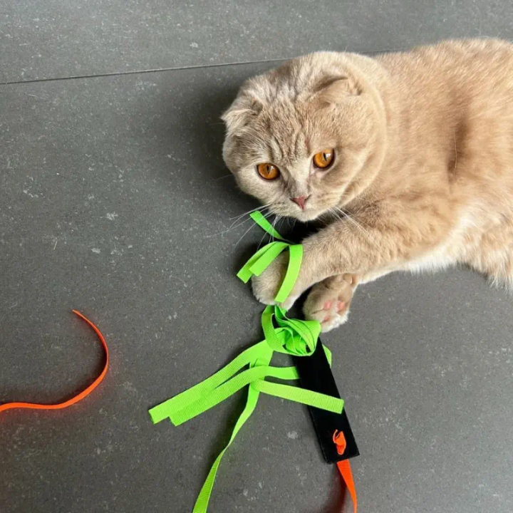 Jouet Cuir pour Chat La Fusée