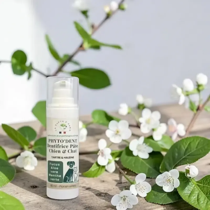 Dentifrice naturel chien et chat Phyto'Dent en pâte