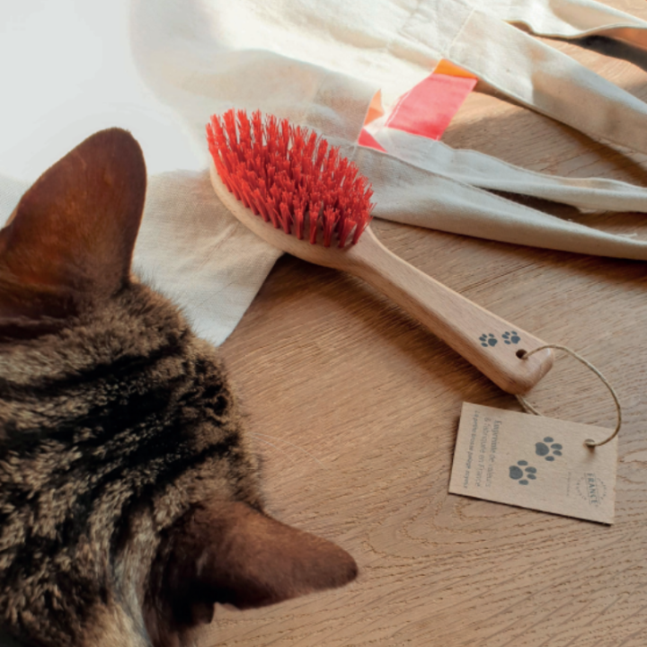 Grande brosse pelage soyeux pour chiens et chats