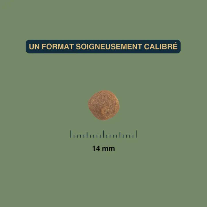 Croquettes Canard pour chien adulte stérilisé, sédentaire ou en surpoids