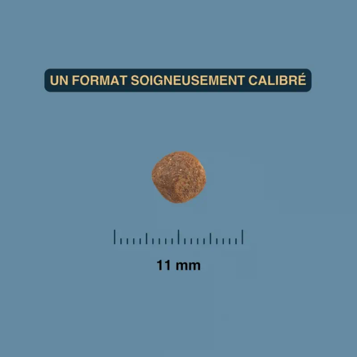 Croquettes Poisson blanc pour chien senior