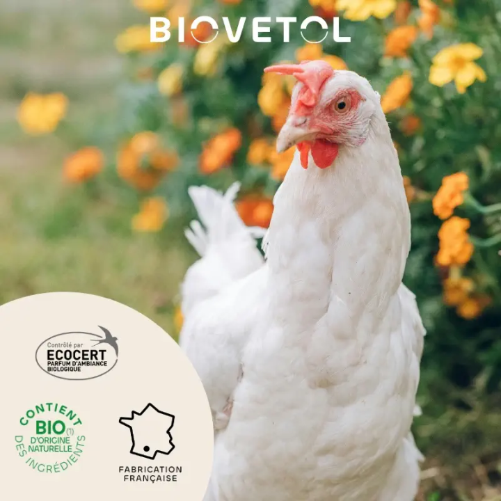 Terre de diatomée poulailler Biovetol – absorbe odeurs et humidité
