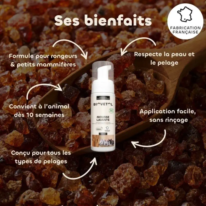 Mousse lavante pelage rongeurs et petits mammifères