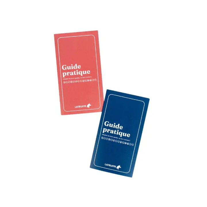 Trousse de premiers secours pour chien - balade et voyage