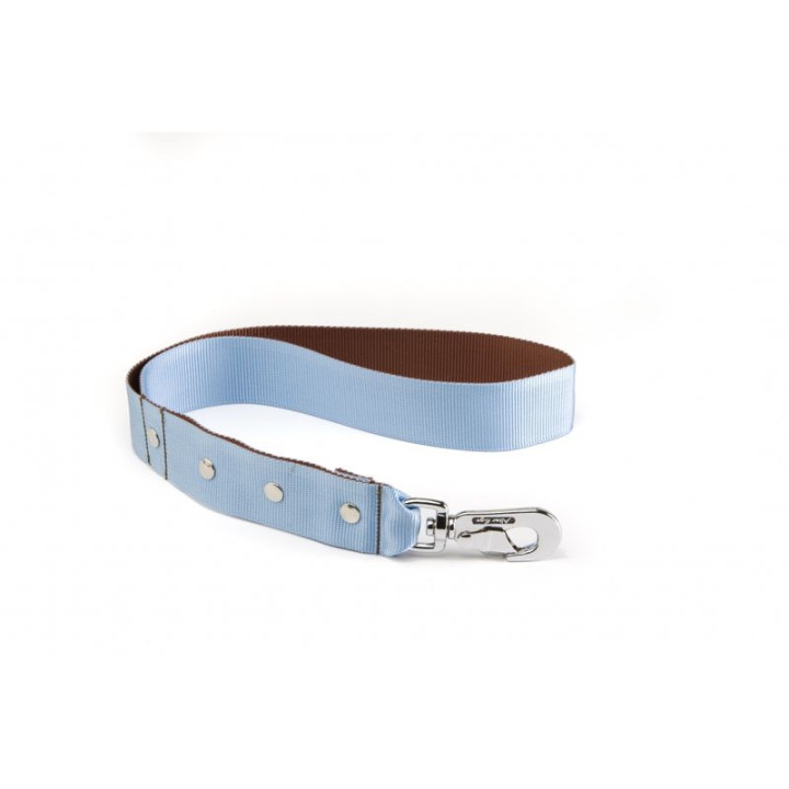 Laisse en nylon bicolore pour chien – Bleu et marron | GREENPATTES
