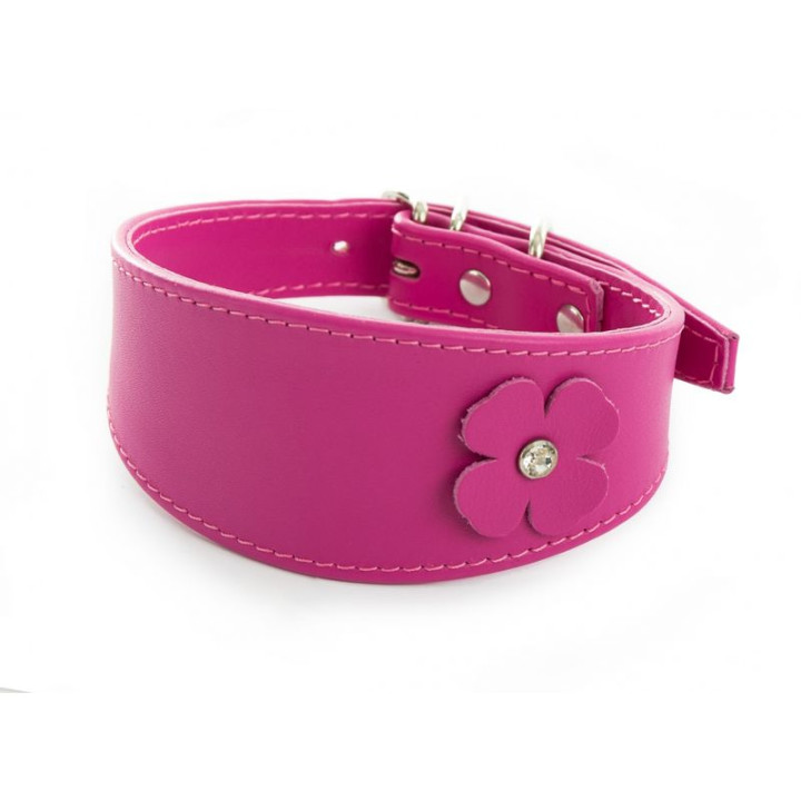 Collier lévrier en cuir à trèfles pour Whippet et Lévrier – Fuchsia