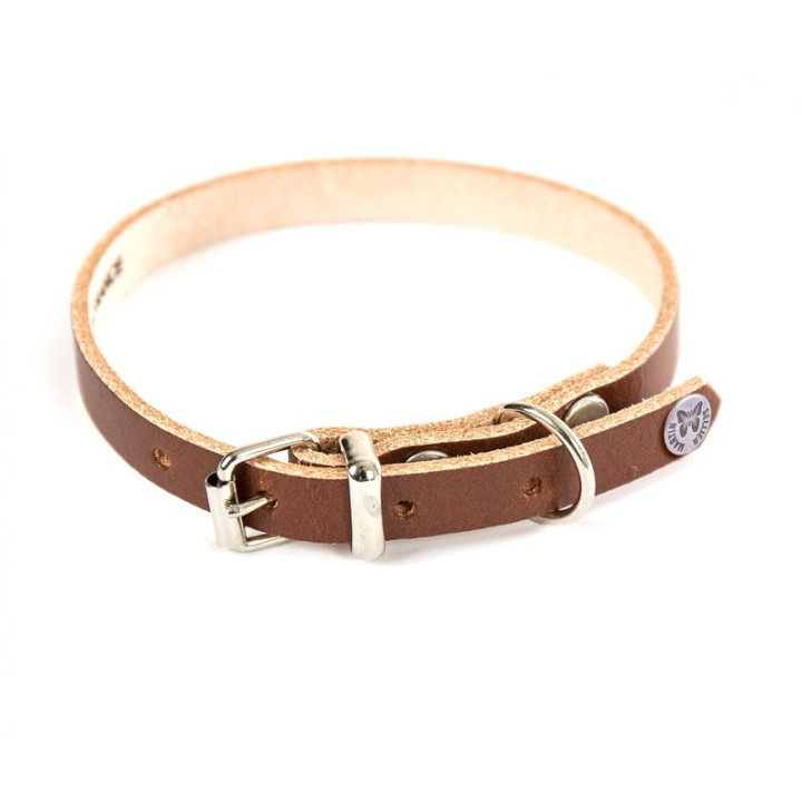 Collier en cuir classique pour chien – Marron | GREENPATTES
