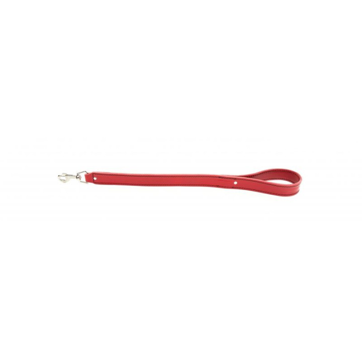 Laisse en cuir pour bouledogue et molosse – Rouge | GREENPATTES