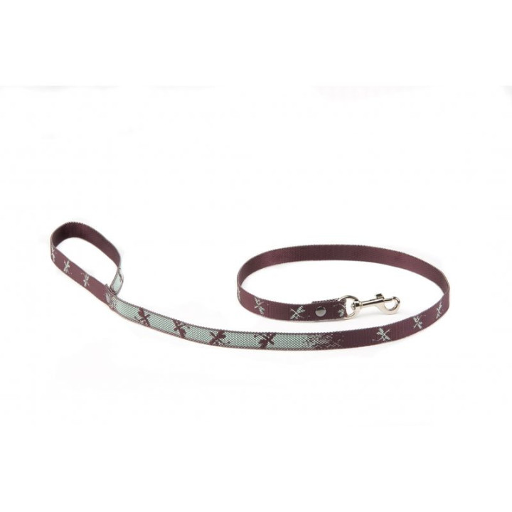 Laisse en nylon Effet libellule pour chien | GREENPATTES