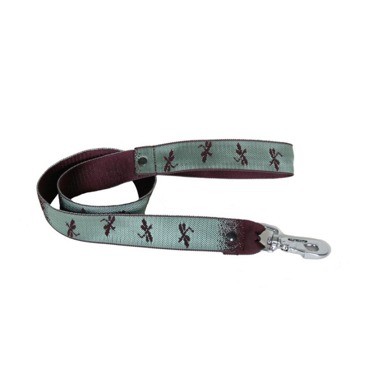 Laisse en nylon Effet libellule pour chien | GREENPATTES