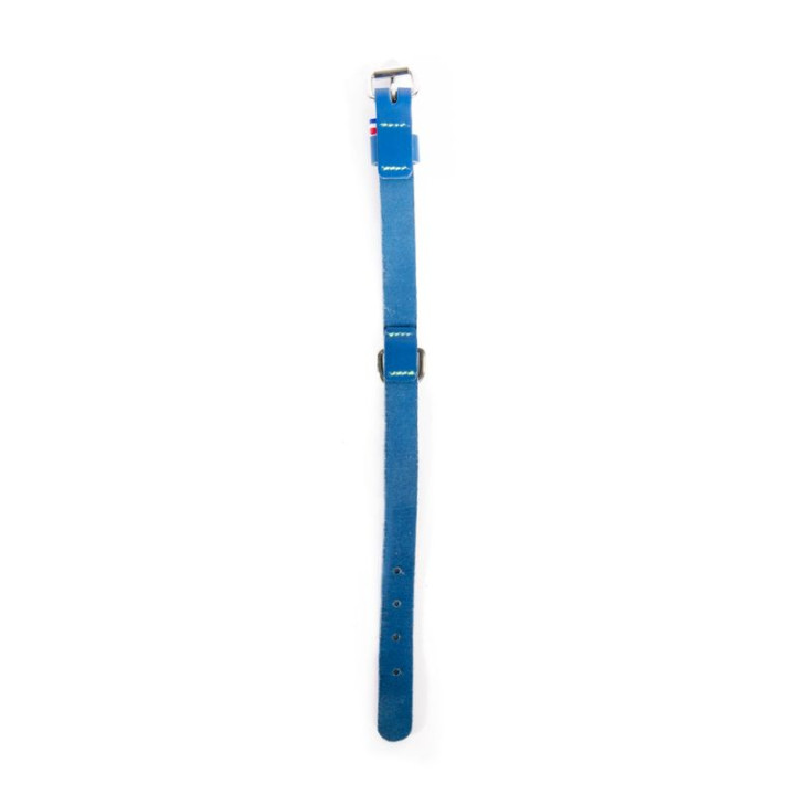 Collier en cuir 499 Bicolore pour chien – Bleu | GREENPATTES