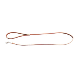 Laisse en cuir classique rivetée pour chien – Marron | GREENPATTES
