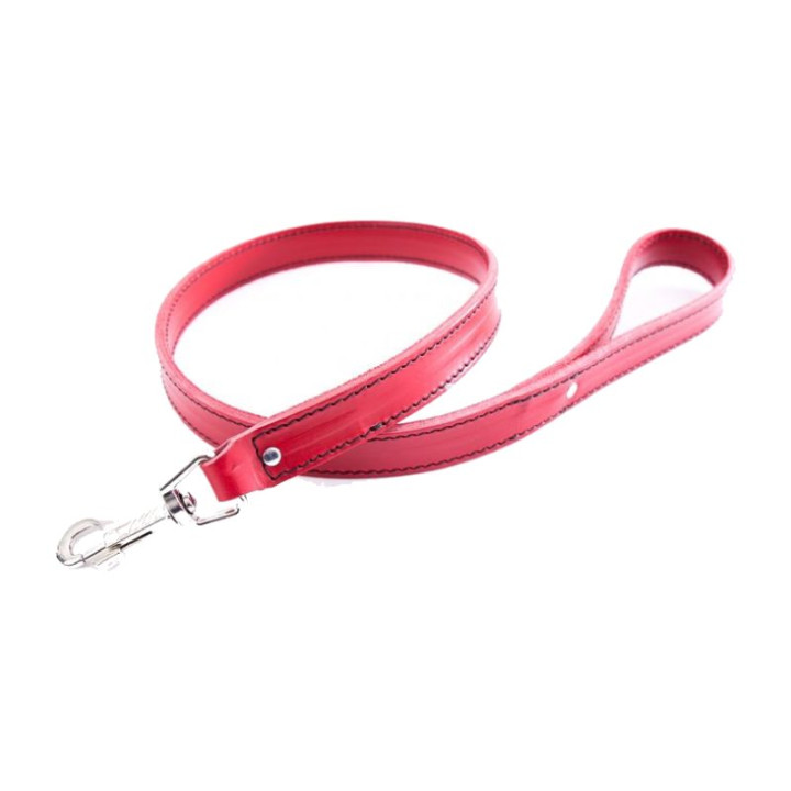 Laisse en cuir pour bouledogue et molosse – Rouge | GREENPATTES