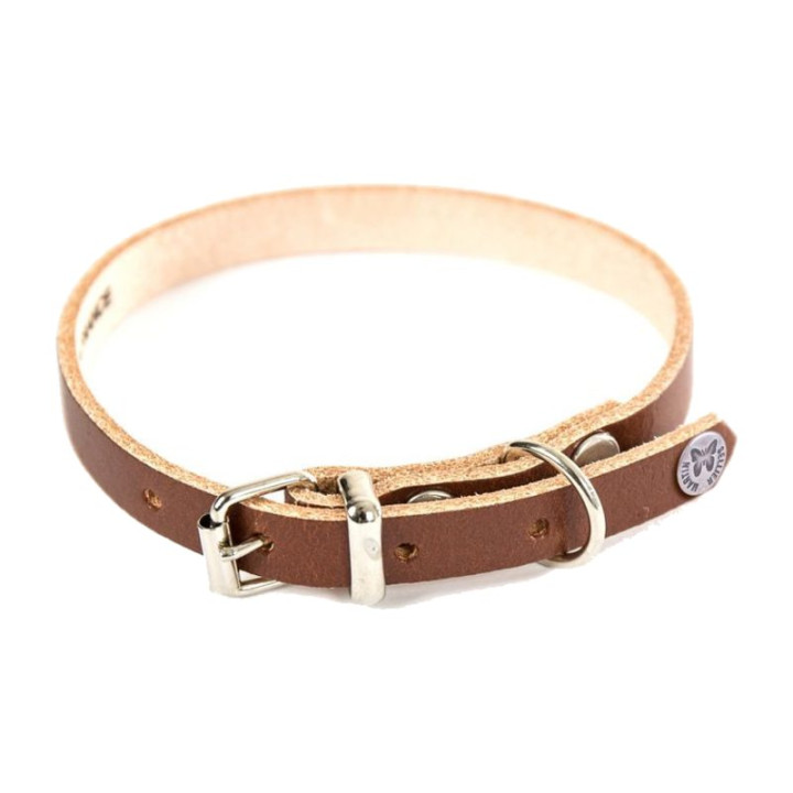 Collier en cuir classique pour chien – Marron | GREENPATTES