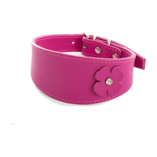 Collier lévrier en cuir à trèfles pour Whippet et Lévrier – Fuchsia