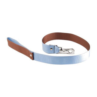 Laisse en nylon bicolore pour chien – Bleu et marron | GREENPATTES