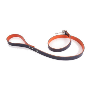 Laisse en cuir Allure pour chien – Gris et orange | GREENPATTES