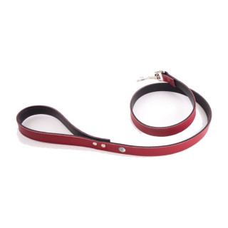 Laisse en cuir Allure pour chien – Rouge et noir | GREENPATTES