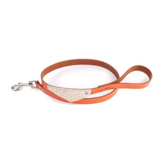 Laisse en cuir Miami pour chien – Doré et orange | GREENPATTES