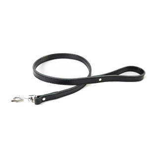 Laisse en cuir pour bouledogue et molosse – Noir | GREENPATTES
