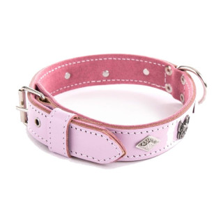 Collier en cuir pour bouledogue et molosse – Rose | GREENPATTES