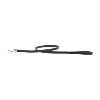 Laisse en cuir 100 rivetée pour chien – Noir | GREENPATTES