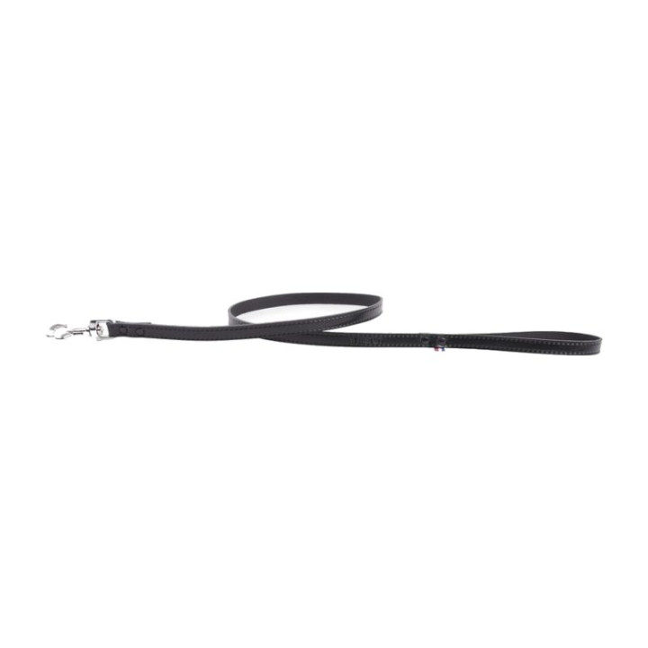 Laisse en cuir 100 rivetée pour chien – Noir | GREENPATTES
