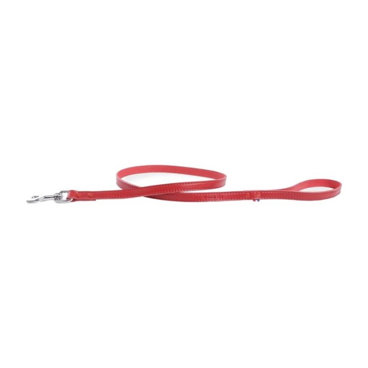 Laisse en cuir 100 rivetée pour chien – Rouge | GREENPATTES