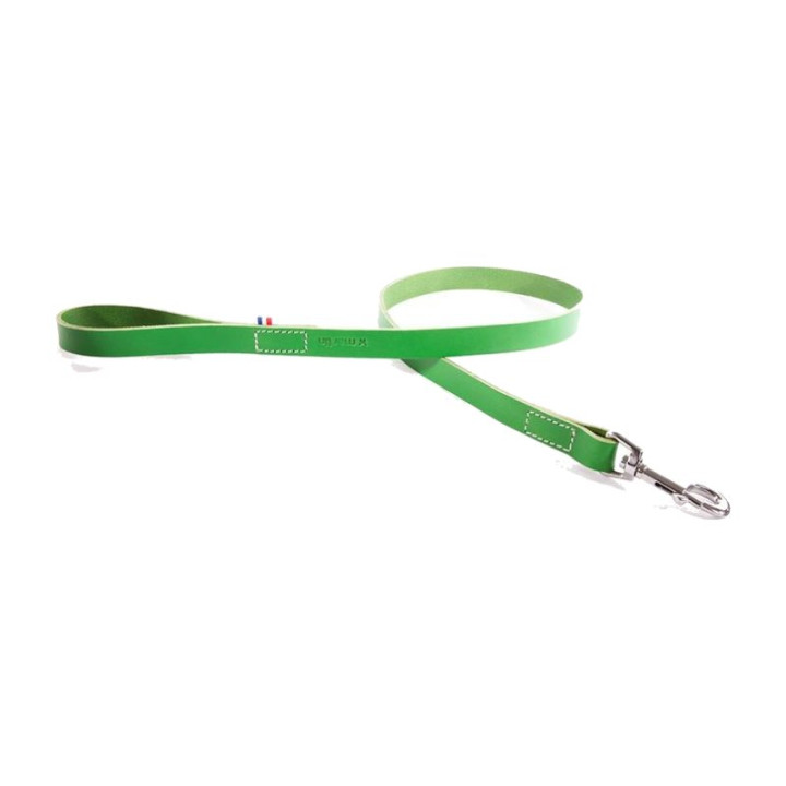 Laisse en cuir 499 Bicolore pour chien – Vert | GREENPATTES