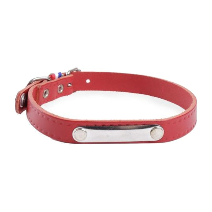 Collier en cuir 100 avec plaque d’identification pour chien – Rouge