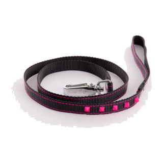 Laisse en nylon Fluo Black pour chien – Noir et rose | GREENPATTES