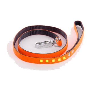 Laisse en nylon Fluo Color pour chien – Orange et jaune | GREENPATTES