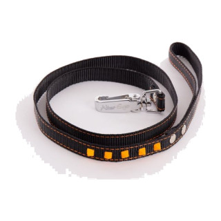 Laisse en nylon Fluo Black pour chien – Noir et orange | GREENPATTES