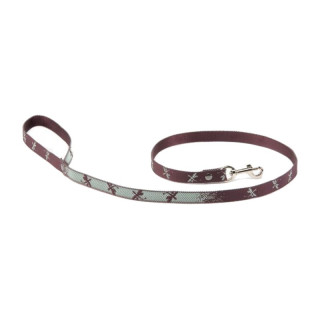 Laisse en nylon Effet libellule pour chien | GREENPATTES