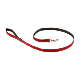 Laisse en nylon 5e Avenue pour chien – Rouge | GREENPATTES
