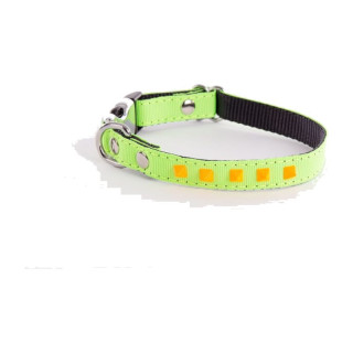 Collier en nylon Fluo pour chien – Vert et orange | GREENPATTES