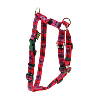 Harnais en nylon Kilt plaid pour chien | GREENPATTES