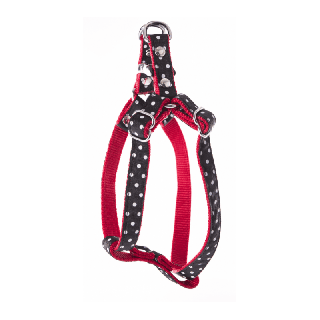 Harnais en nylon à pois pour chat – Noir | GREENPATTES