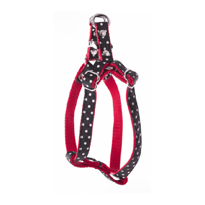 Harnais en nylon à pois pour chat – Noir | GREENPATTES