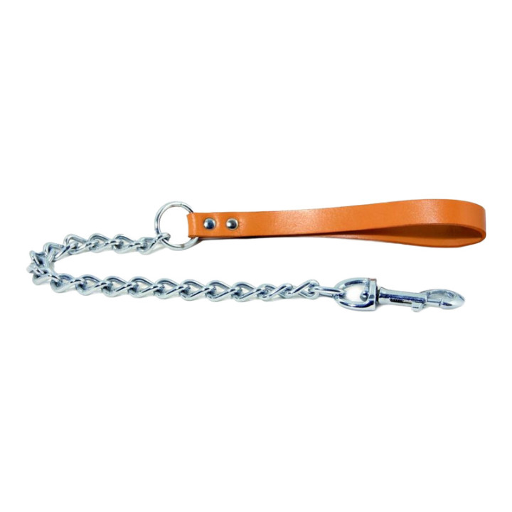 Laisse chaîne avec poignée en cuir pour chien – Naturel | GREENPATTES
