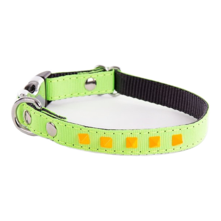 Collier en nylon Fluo pour chien – Vert et orange | GREENPATTES