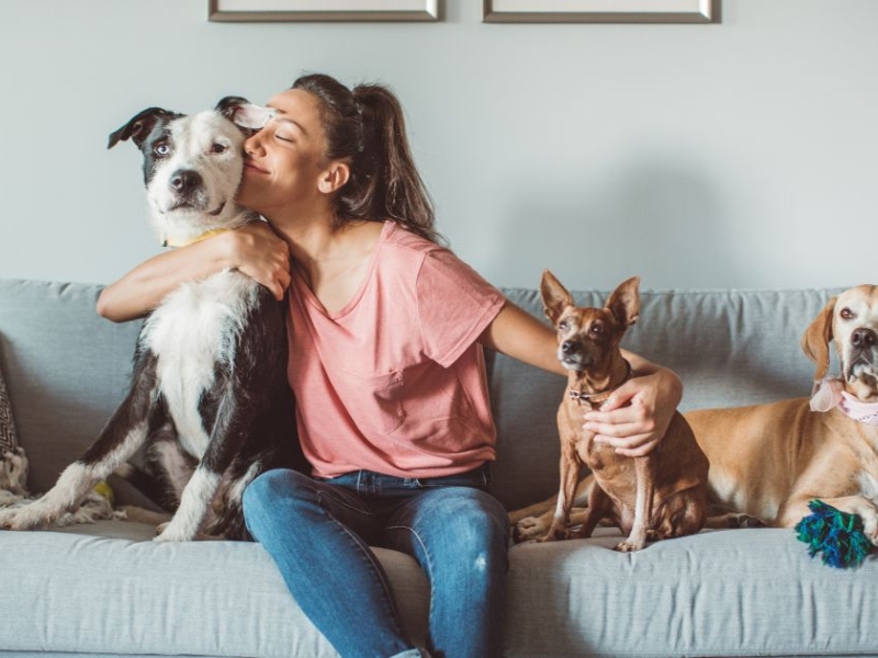 Comment lire les étiquettes des produits pour animaux : le guide complet