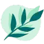 Produits naturels et bio pour animaux