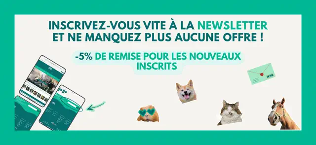 Inscription newsletter