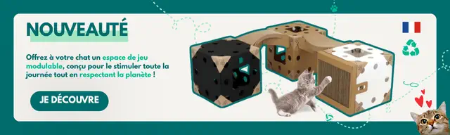 Nouveauté produit pour chat