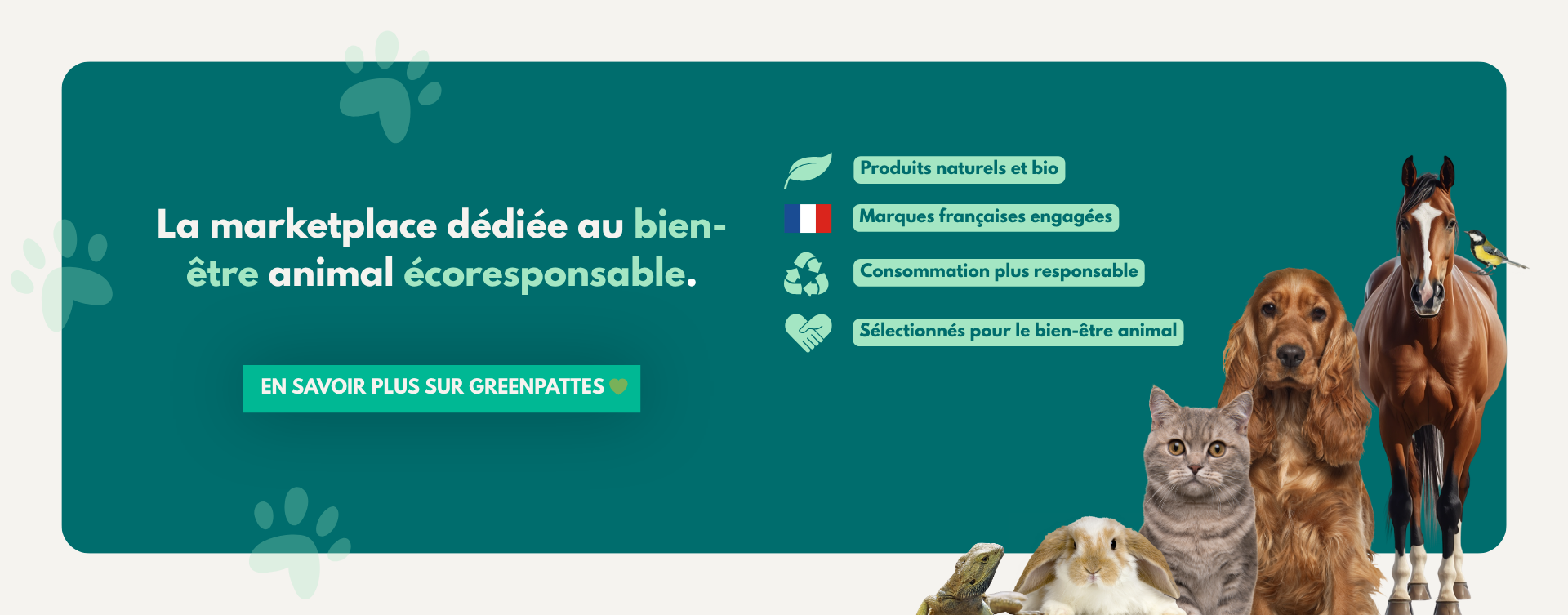 La marketplace dédiée au bien-être animal écoresponsable
